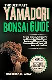 The Ultimate Yamadori Bonsai Guide: How to Explore, Extract, Pot and Repot, Fertilize, Shape, Prune, and Showcase Your Yamadori Bonsai Trees with Care and Precision