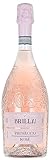 Brilla Prosecco Doc Rose Brilla Fruttato Ottimo per Aperitivo, Made In Italy (Veneto), Bottiglia 750 Ml, Alcol 11%