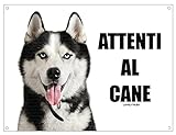 SIBERIAN HUSKY attenti al cane mod 3 TARGA cartello IN METALLO (15X20)