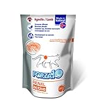 Forza10 Cibo umido per gatti come supporto della funzione renale, confezione da 1 (1 scatola x 12 pezzi)