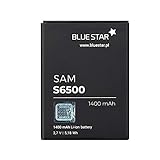 Blue Star Premium - Batteria per Samsung Galaxy Mini 2 (S6500) / Young (S6310) / Ace Plus (S7500), Li-Ion 1400 mAh