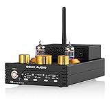 Douk Audio X1 - Amplificatore per tubi HiFi Bluetooth 5.0, GE5654 Valve Stereo Audio Amplifier MM, 160Wx2 TDA7498E Chip, Treble & Bass Control Knob
