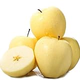 50pz di semi di mela gialla essenziali per i giardinieri principianti Accattivanti frutti perenni Aspetto idilliaco Bassa manutenzione Porta senso di realizzazione