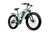 VOZCVOX Bicicletta Elettrica Per Adulti,Bici Elettriche Con Batteria Rimovibile Al Litio 48V 17Ah, Bici Elettrica Mountain Bike Per 7 Velocità