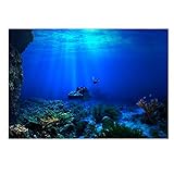 Acquario Sfondo HD Sottomarino Coral Reef Foto Carta da parati Acquario Pesce Mare Murale XXL Sottomarino Underwater Mondo Decorazione della parete(61 * 41cm)