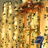 PhilzOps Catena Luminosa Esterno Solare, 10M 100 LED Luci Stringa Solari Artificiale Edera 8 Modalità Impermeabile Luci Solari Decorazione per Giardino Balconi Matrimonio Festa Festival, Bianco Caldo
