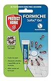 PROTECT HOME Solfac Tubetto Gel Formiche: esca insetticida attrattiva liquida pronta all uso, 4 gr