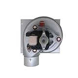 Ventilatore centrifugo 220v motore radiale caldaia ventola estrattore fumi stufe a pellet aspiratore centrifugo industriale