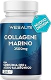 COLLAGENE MARINO con Acido ialuronico - 240 Capsule - 2500mg di Collagene idrolizzato, Integratore con Biotina, Vitamina C, Coenzima Q10 per Pelle, Capelli e Articolazioni