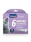 Vitakraft - Pipetta Stop parassiti per gatti, con Dimeticone e Aloe Vera - 1 ml x 6 pipette