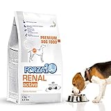 Forza10 Alimento Dietetico Completo per Cani Adulti per il Supporto della Funzione Renale - 4 kg