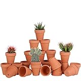 Awsuc Set di 28 Vasi da Fiori 5.5cm,vasi per piante Vaso in terracotta in ceramica con foro di drenaggio per interni, piante da esterno, artigianato, matrimonio