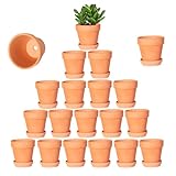 Nursery pots 20 vasi in terracotta da 8 cm con piattino, vasi da fiori di cactus terra-Cotta con drenaggio, vasi di argilla, ideali per piante, artigianato, regali di nozze