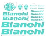 Adesivi Stickers Celeste per telaio bici da corsa o Mountain Bike compatibile con Bianchi TBS93