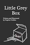 Little Grey Box