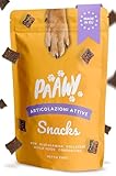 paawy Articolazioni Attive Snacks per Cani con glucosamina, collagene, condroitina, MSM e Mitilo Verdi