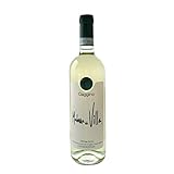 Piemonte DOC Chardonnay Madonna della Villa 0,75 litri vino bianco - PROMO