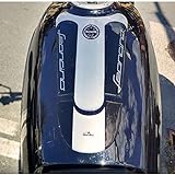Resin Bike Adesivi Moto Compatibile con Benelli Leoncino 500 2017-2020 e Trail 500. Protezione Paraserbatoio da Urti e Graffi. Adesivo 3D Resinato per Serbatoio Moto - Argento