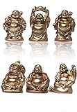 6 diversi Buddha portafortuna