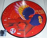 THE MAN WHO SOLD THE WORLD RECORD STORE DAY 2016 RSD 2016 LP Vinyl LTD ED PICTURE DISC