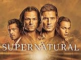 Supernatural: The Complete Thirteenth Season