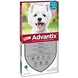 advantix Spot-ON per Cani Oltre 4 kg Fino a 10 kg - Offerta 2 Confezioni
