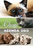 Chats Agenda 2013