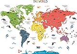 HomeEvolution, mappa del mondo educativa grande e rimovibile; adesivi da parete per bambini; decorazione murale per asilo e stanza dei giochi