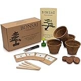 ANISTA – Set per la coltivazione di bonsai – Coltiva i tuoi alberi di bonsai – 4 varietà di semi di bonsai nel nostro set completo di piante. Bella idea regalo per tutte le occasioni.