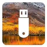 D-S Systems Installazione USB Compatibile con macOS X 10.13 High Sierra su Chiavetta USB Avviabile per L installazione o L’aggiornamento