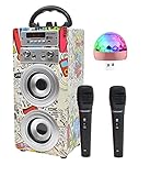 DYNASONIC (3a generazione - Altoparlante Bluetooth portatile per karaoke con microfoni inclusi | Lettore USB e SD, radio FM, modello 025 (luci da discoteca, 025-2)