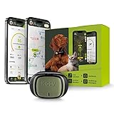 Kippy Evo | GPS per Cani - Localizzatore per Cani e Gatti Impermeabile con GPS per Collare - Tracker di attività e Salute del Tuo Cane, con Recinto Digitale e Notifiche - Colore Verde