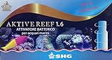 Aktive Reef 1.6 attivatore batterico SHG