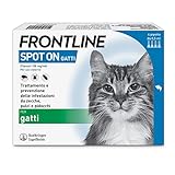 FRONTLINE Spot On, 4 Pipette, Gatto, Antiparassitario per Gatti e Gattini di Lunga Durata, Protegge da Zecche, Pulci e Pidocchi, Antipulci In Confezione da 4 Pipette da 0.5 ml