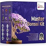 Kit per la coltivazione di piante bonsai - Set professionale per la coltivazione e lo styling dei bonsai - Bonsai giapponese - Kit di semi di albero bonsai ideale per il giardino interno Giardinaggio