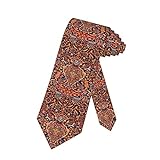LKKPT Cravatta da uomo antico curdo nord-ovest persiano tappeto cravatta poliestere cravatta grande regalo per la festa nuziale sposo testimoni dello sposo