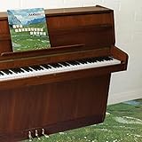 The Sophtware Slump On A Wooden Piano