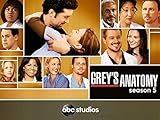 Grey s Anatomy (Yr 5 2008/2009)