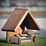 nuova mangiatoia per uccelli  Huis