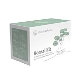 LittlestForest - Kit bonsai da coltivare completo - Tutto il necessario per coltivare le proprie bonsai pianta vera - Semi e strumenti per coltivazione - idee per regali originali