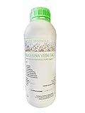 Glicerina Vegetale Liquida 99,9% 1L, 2L, 5L - Pura, Naturale, grado farmaceutico, qualità certificata - Per uso cosmetico: viso, corpo, capelli (1 Litro)