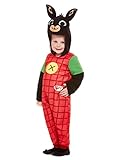 Bing Deluxe Costume, Red, with Hooded All in One Character Bodysuit, (T1)