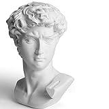YiYFiT Resina Busto Statua Figurina, 6" 15cm Mitologia Greca David Busto Scultura figurina per la casa Ornamento Ufficio Libreria Decor Schizzo Pratica Fai da Te Arte Regalo-David