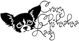 Adesivo Per Auto 22 Cm (8,6 Pollici) Crazy Chihuahua Lady Vinile Decalcomania Per Finestra Paraurti Adesivo Per Auto Decor Cane Animale Domestico Chi Love Dogs Nero/Argento (2122)2 pezzi