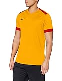 Nike Park Derby II SS, T-Shirt Uomo, Gold University Red/(Black), M