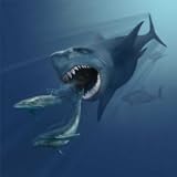 Hungry Shark Attack Hunting Fish Game: Deep Sea Evolution Deadly Underwater Shark Shooting Games